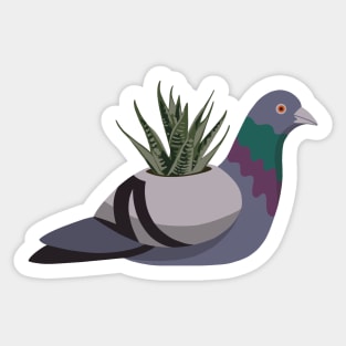 Succulent Pigeon Sticker